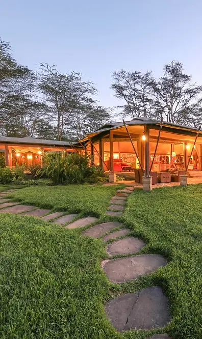 Illuminated safari lodge with curved architecture at dusk under acacia trees, Lake Elmenteita Serena Camp, Rift Valley Lakes, Kenya
