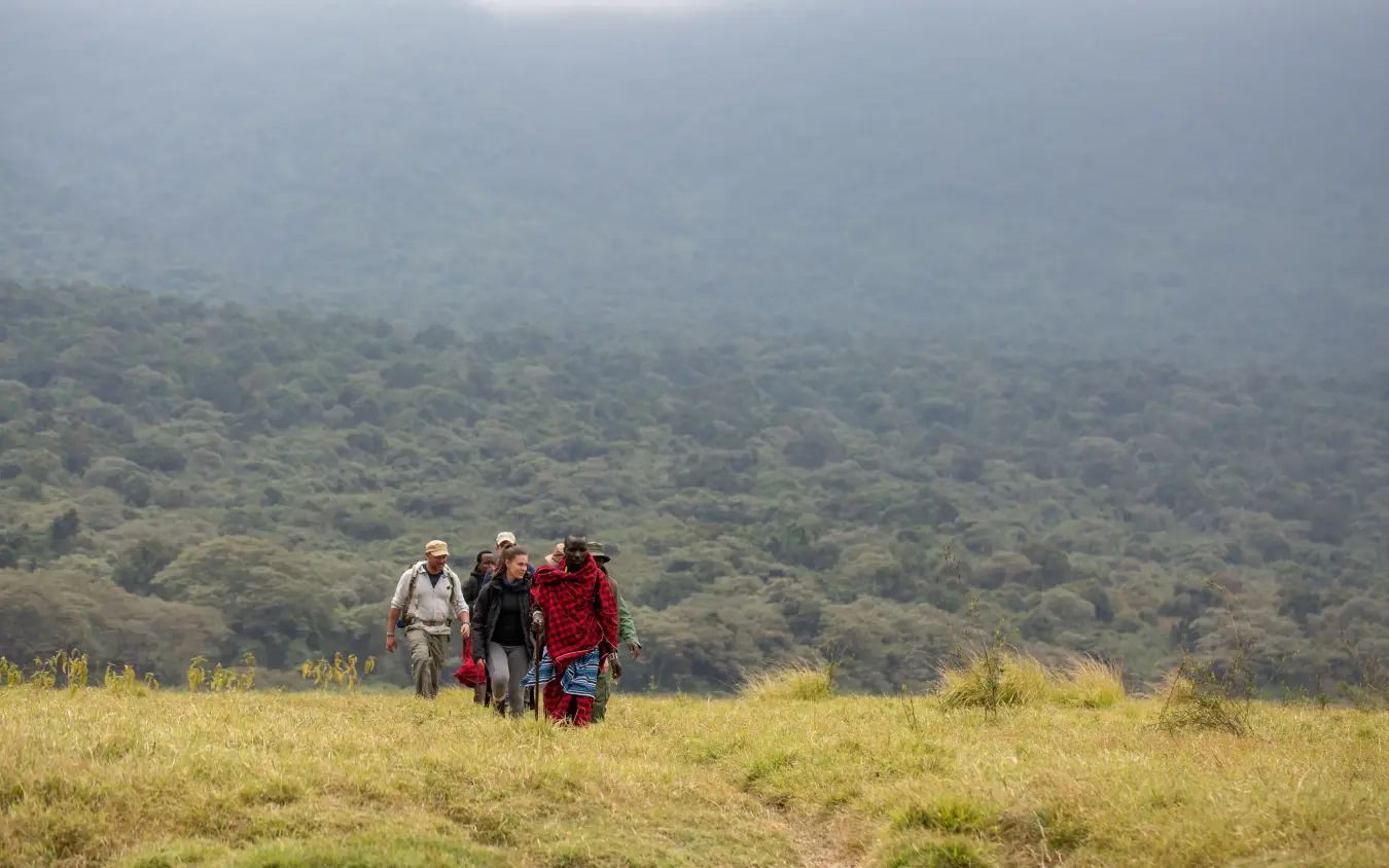 Hiking group walks across grassland with forested mountains, Lake Natron Camp, Lake Natron, Tanzania