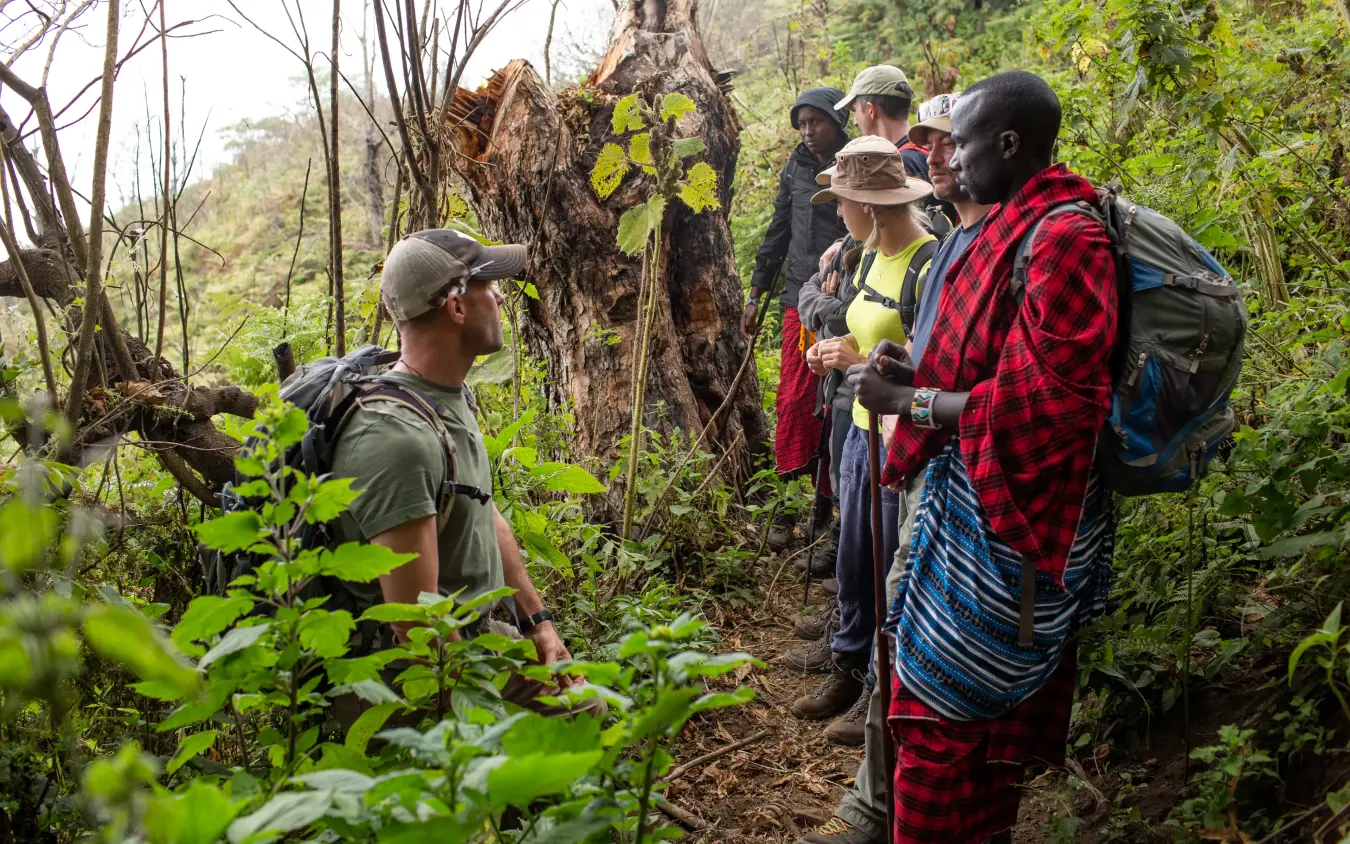 Guided nature walk through forest with local guides and guests, Lake Natron Camp, Lake Natron, Tanzania