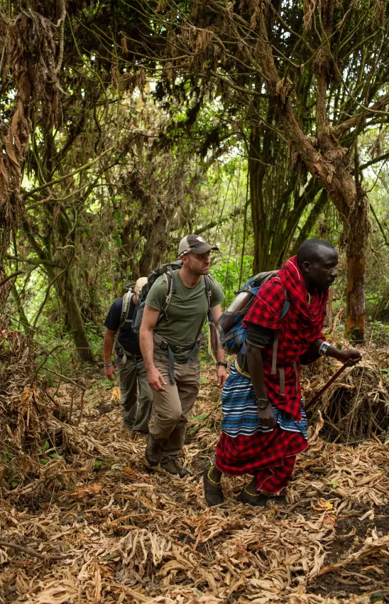 Two hikers walking through dense forest canopy trail, Lake Natron, Tanzania
