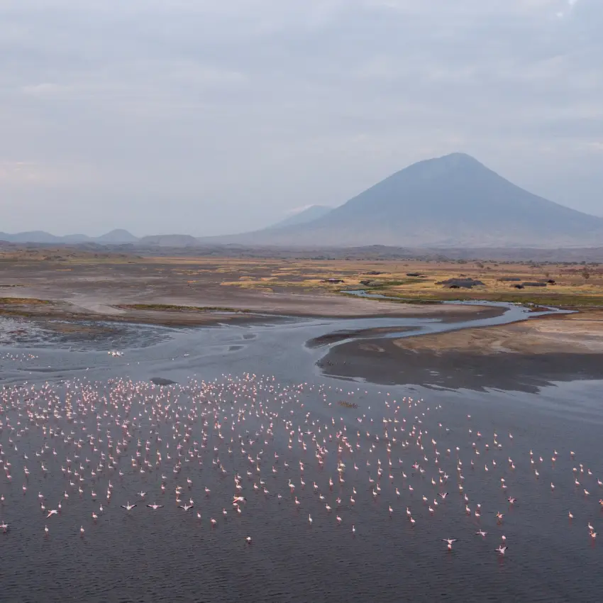 Aerial view of shallow lake with flamingos and volcano, Lake Natron, Tanzania