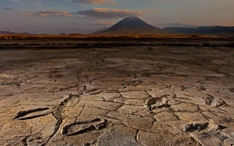 Ancient hominid footprints preserved in dried volcanic mud, Lake Natron Camp, Lake Natron, Tanzania