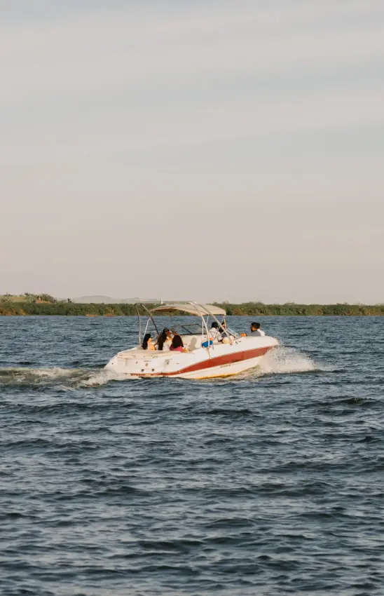 Speedboat with passengers cruising on blue water near forested shoreline, Lake Victoria Serena Golf Resort & Spa, Entebbe and Kampala, Uganda