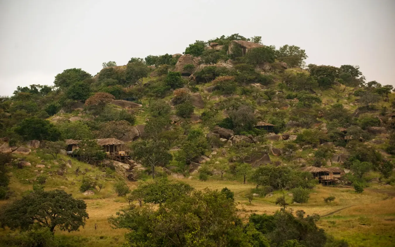 Hillside landscape with scattered trees and traditional structures, Lamai Serengeti, Serengeti National Park, Tanzania