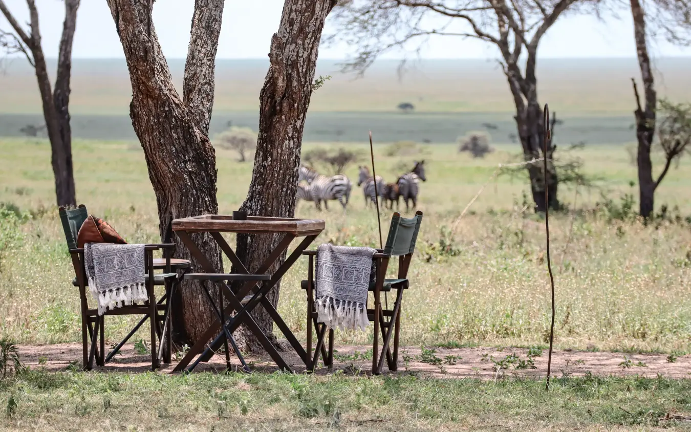 Shaded seating area overlooking savanna with wildlife in distance, Nyasi Tented Camp, Serengeti National Park, Tanzania