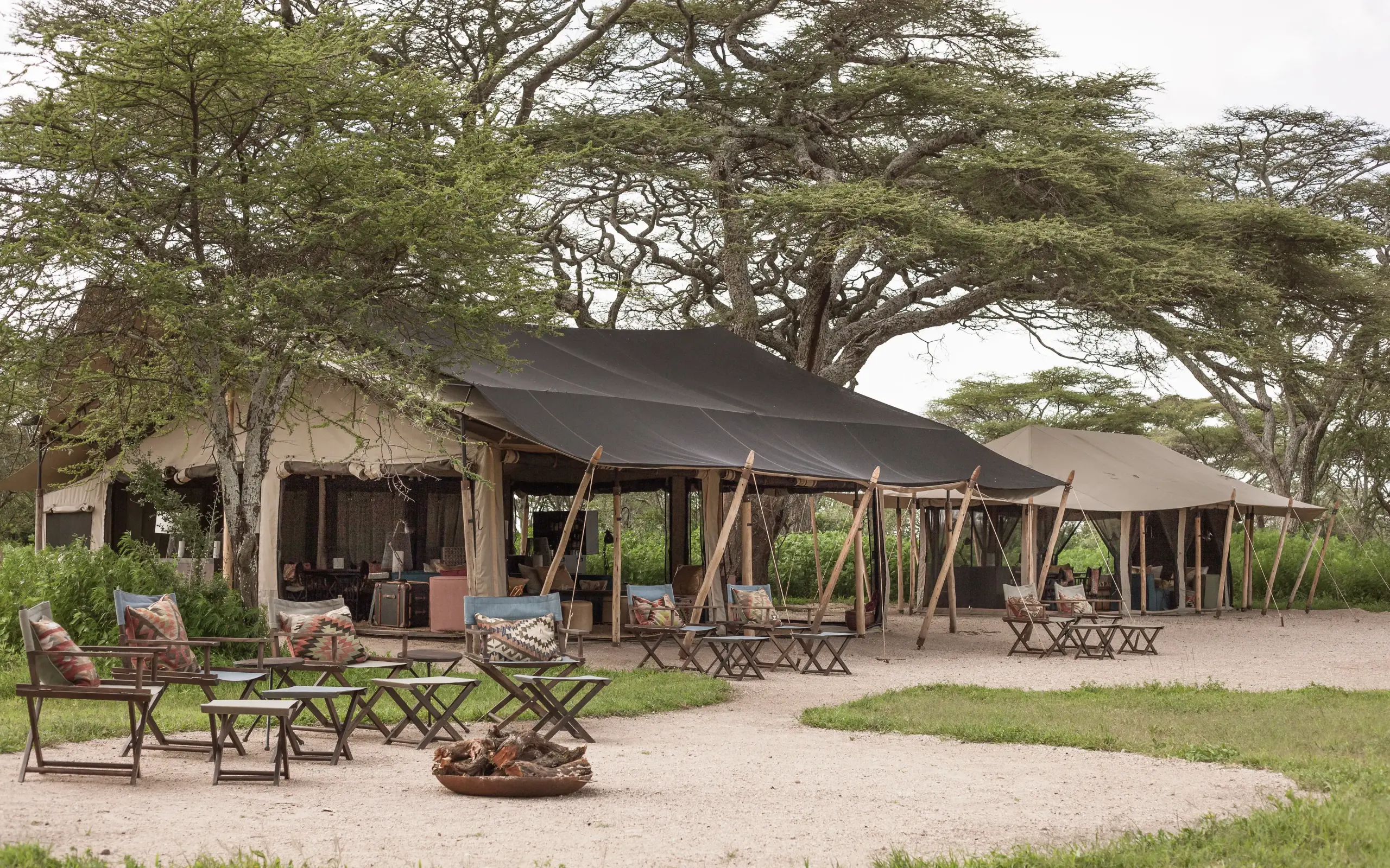 Canvas safari tent with seating area under acacia trees, Nyasi Tented Camp, Serengeti National Park, Tanzania