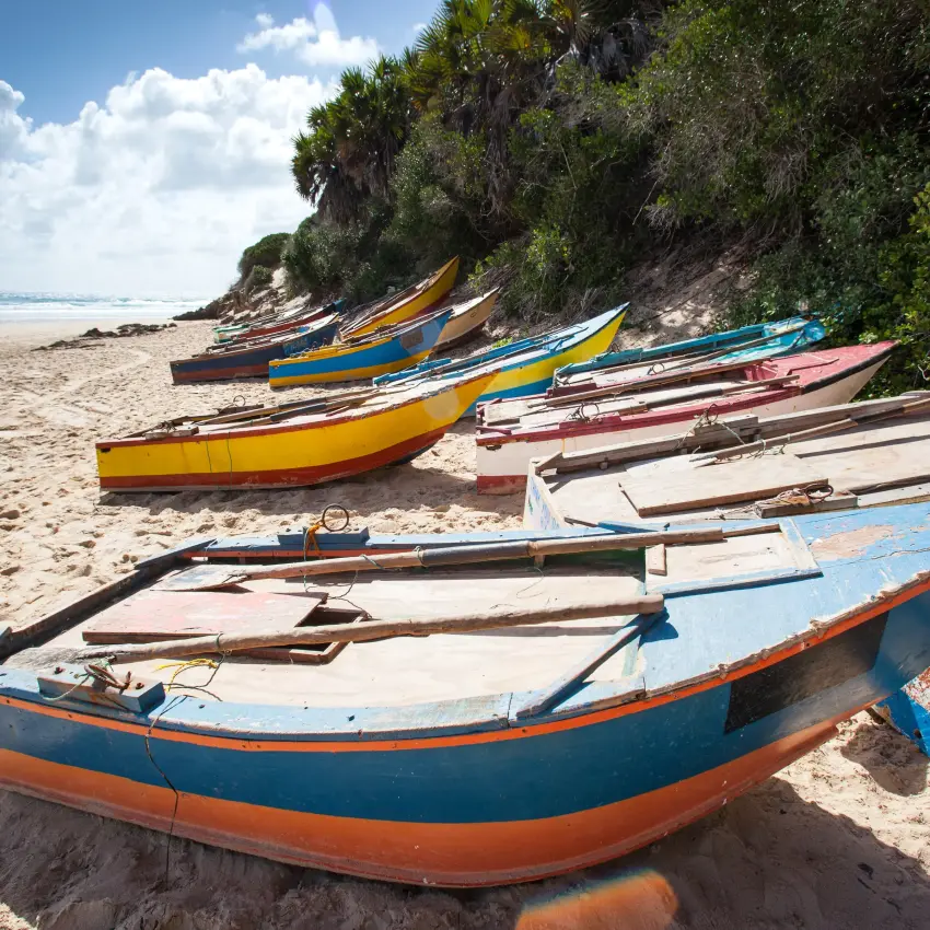 Colorful fishing boats lined up on sandy beach