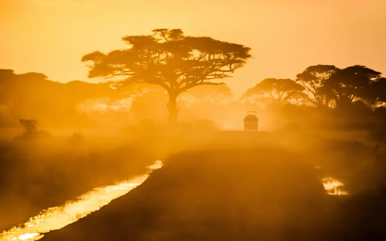 golden sunset silhouettes acacia trees and safari vehicle on dusty road