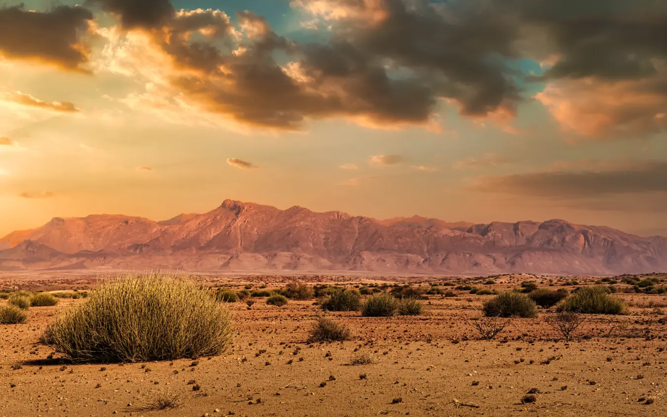 Desert plains with distant mountains at sunset