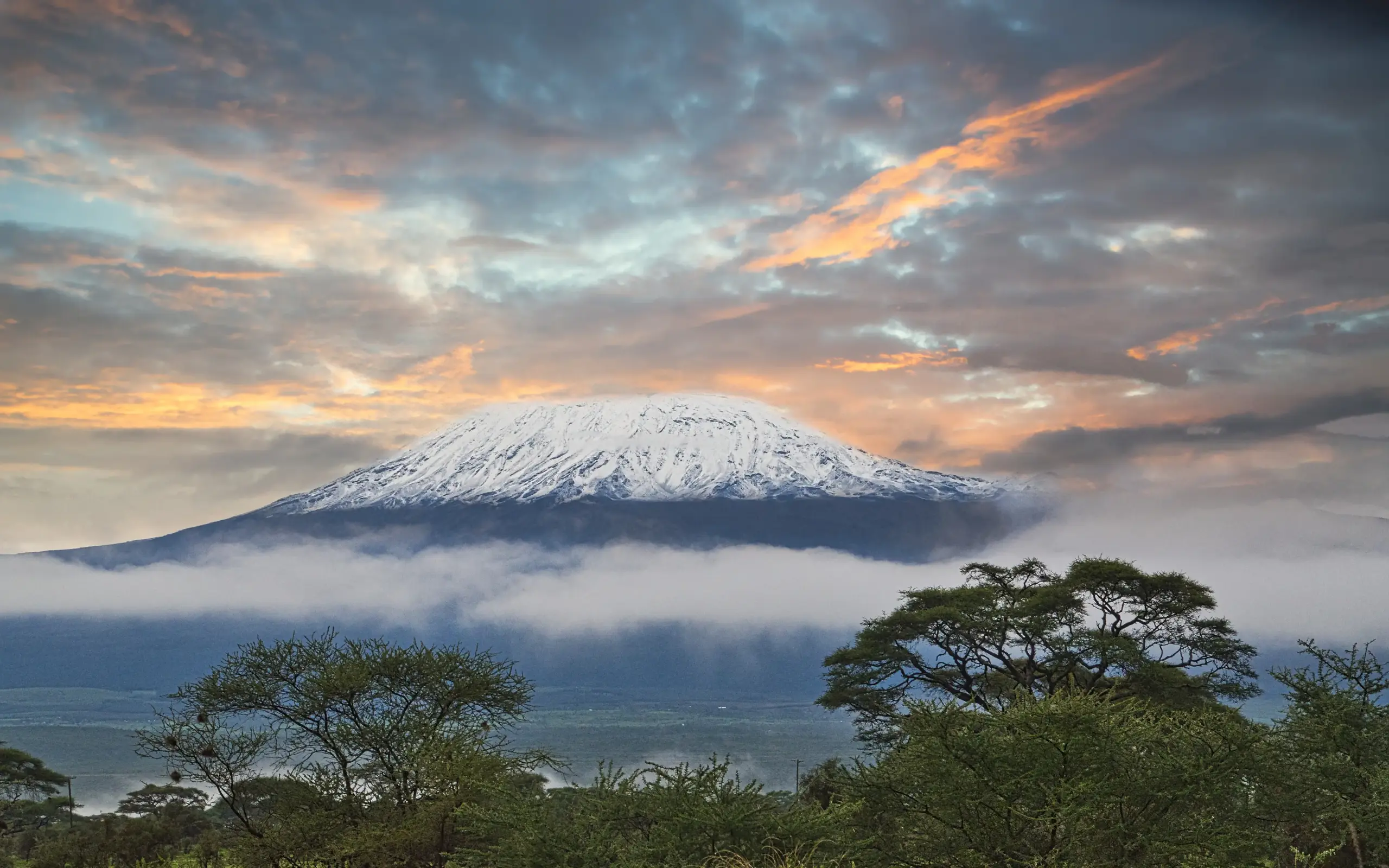 Snow-capped Mount Kilimanjaro rising above morning mist and acacia trees