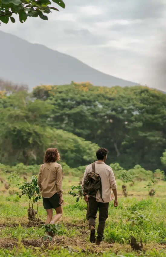 Two people walking through planted savanna landscape toward forested hills, Legendary Lodge, Arusha, Tanzania