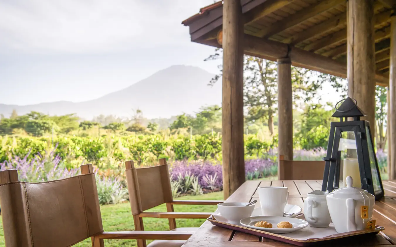 Wooden deck with tea service overlooking gardens and mountain, Legendary Lodge, Arusha, Tanzania