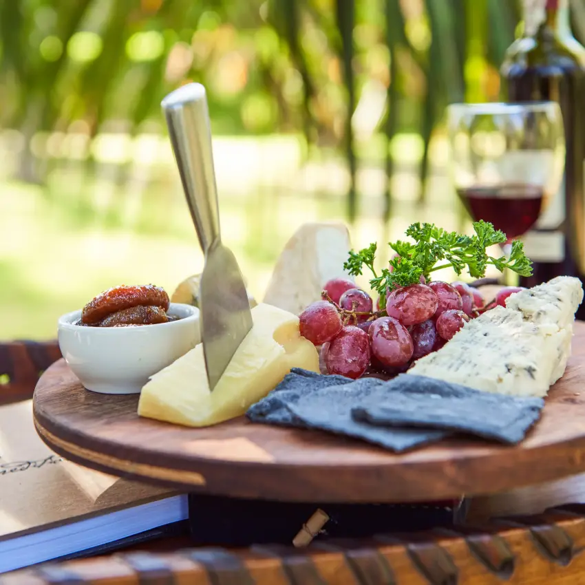 Cheese board with cured meats, grapes, and wine outdoors, Arusha, Tanzania