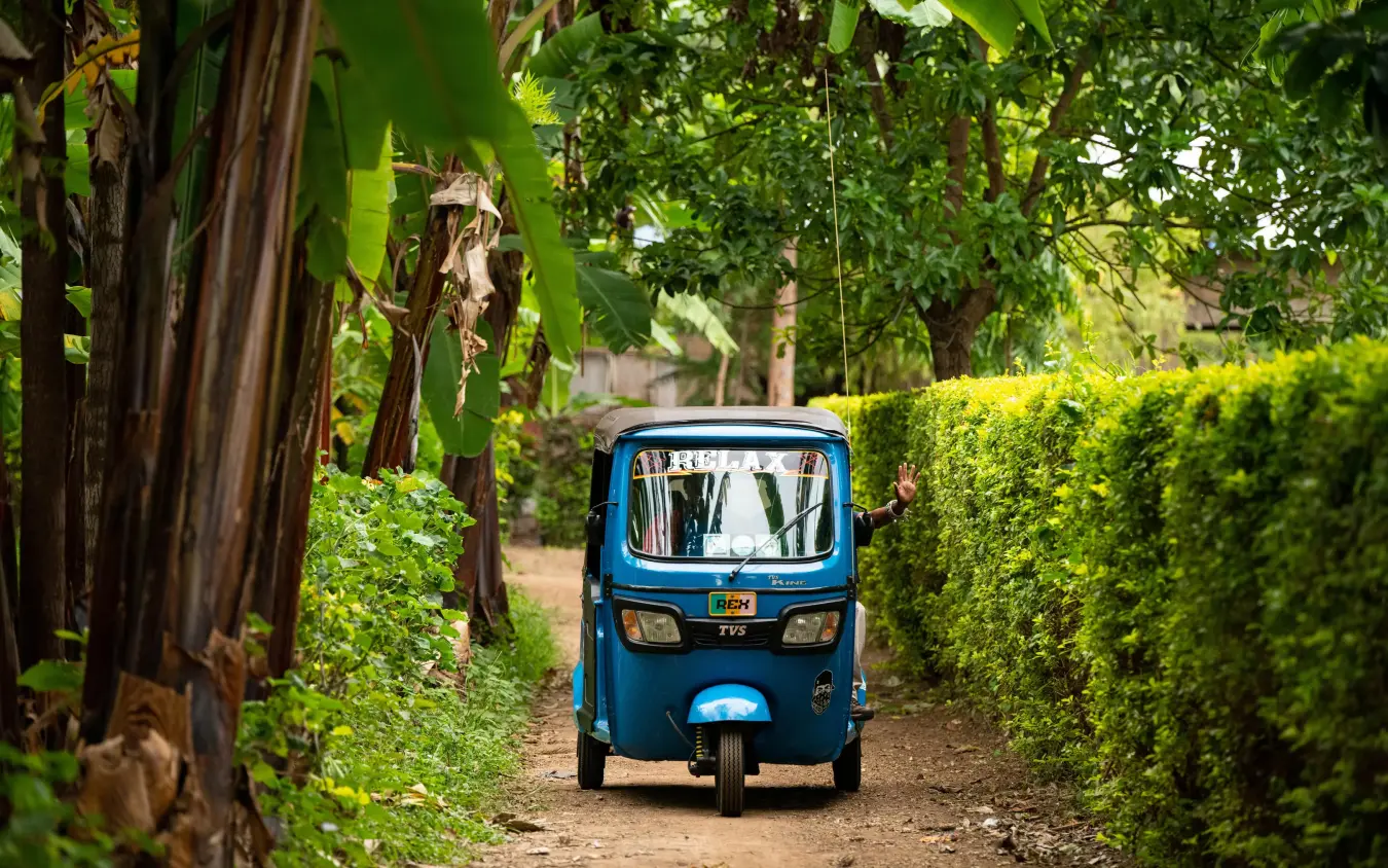 Blue tuk-tuk driving through lush green tree-lined path, Lemala Ngorongoro, Ngorongoro Crater, Tanzania