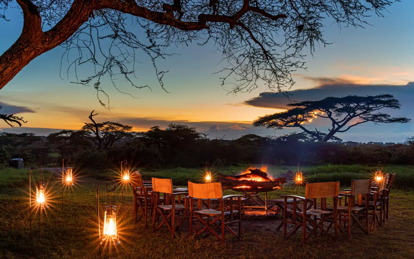 Evening dining setup with fire under acacia trees at sunset, Lemala Ngorongoro, Ngorongoro Crater, Tanzania