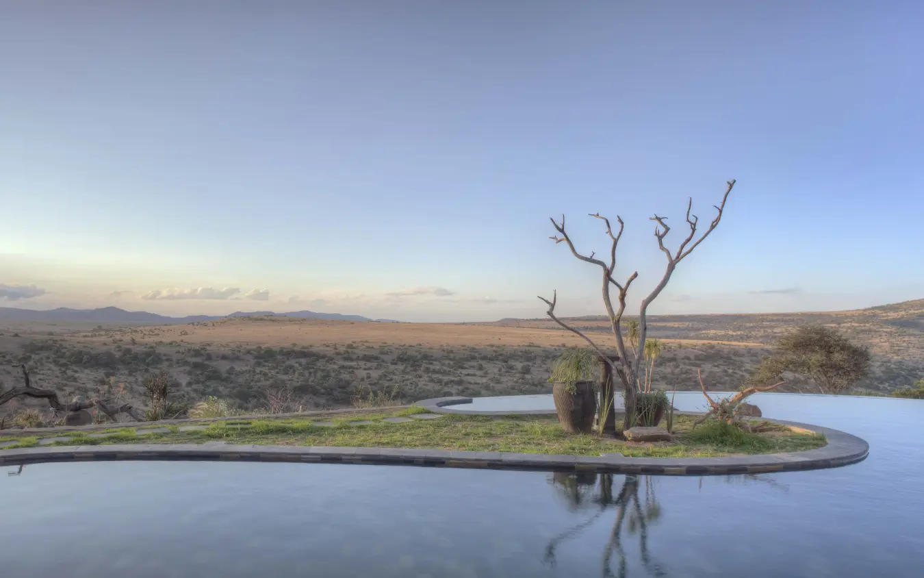 Bare tree reflected in still water at dawn, Lengishu House, Laikipia Highlands, Kenya