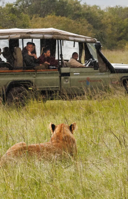 Lion resting in grassland with safari vehicle and guests observing from distance, Leopard Hill, Maasai Mara, Kenya
