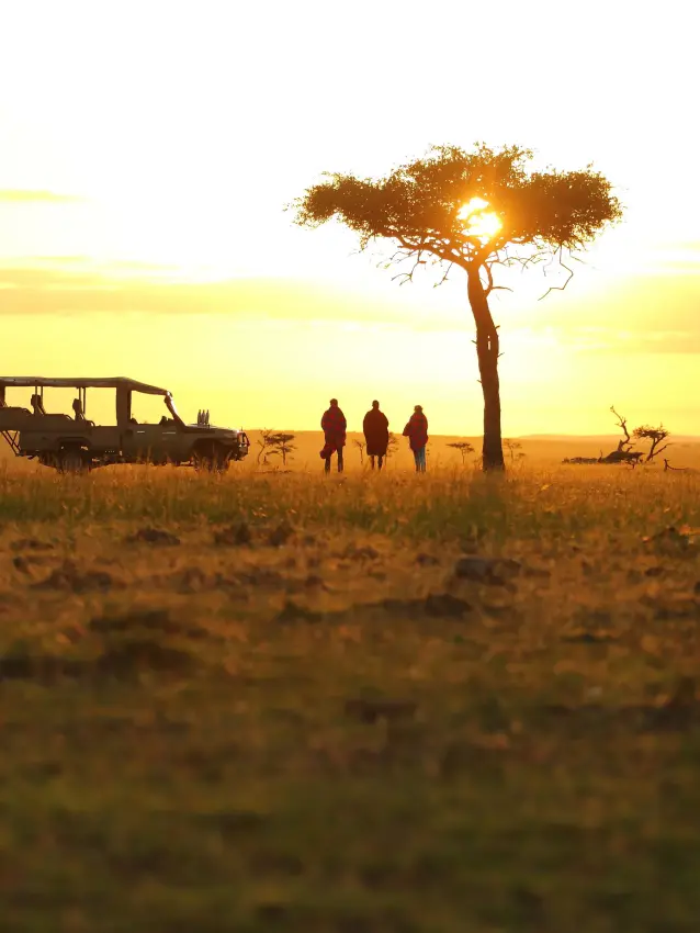 Safari vehicle and guests silhouetted against golden sunset in open grassland, Leopard Hill, Maasai Mara, Kenya