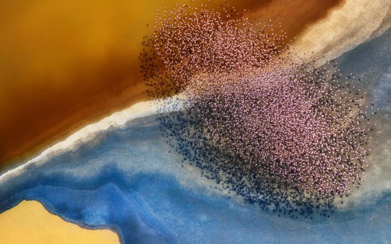 Aerial view of colorful salt lakes and mineral deposits