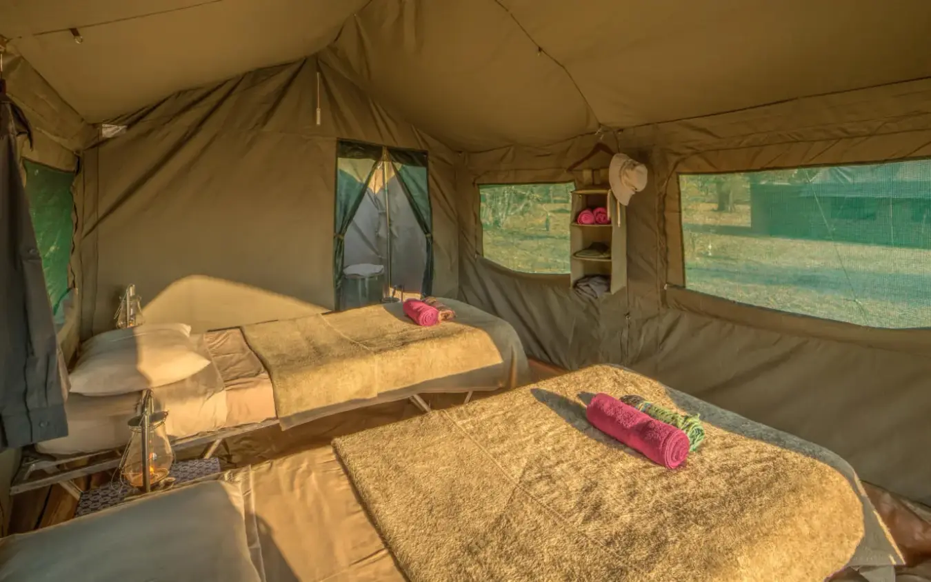 Interior of safari tent with two beds and windows