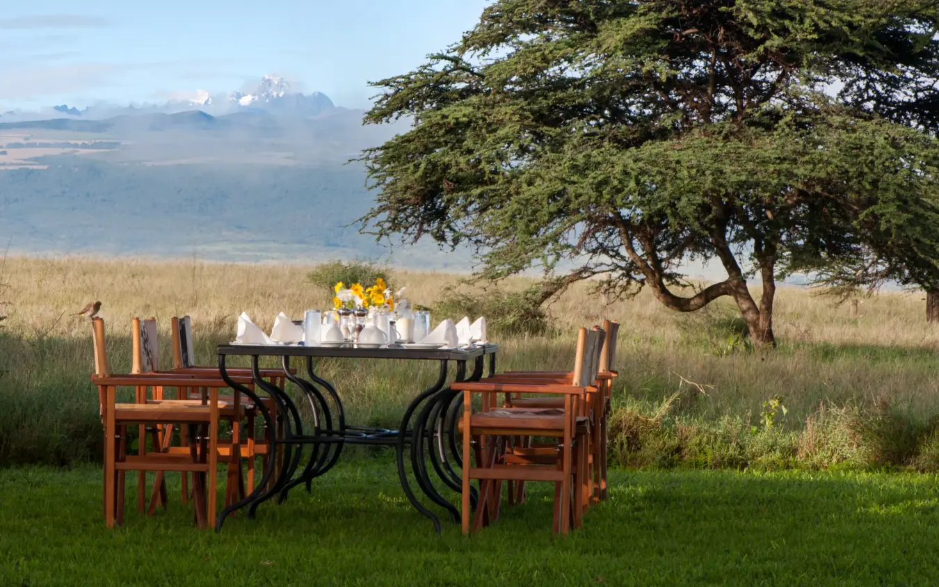 Outdoor dining table set under acacia tree with mountain view, Lewa House, Laikipia Highlands, Kenya