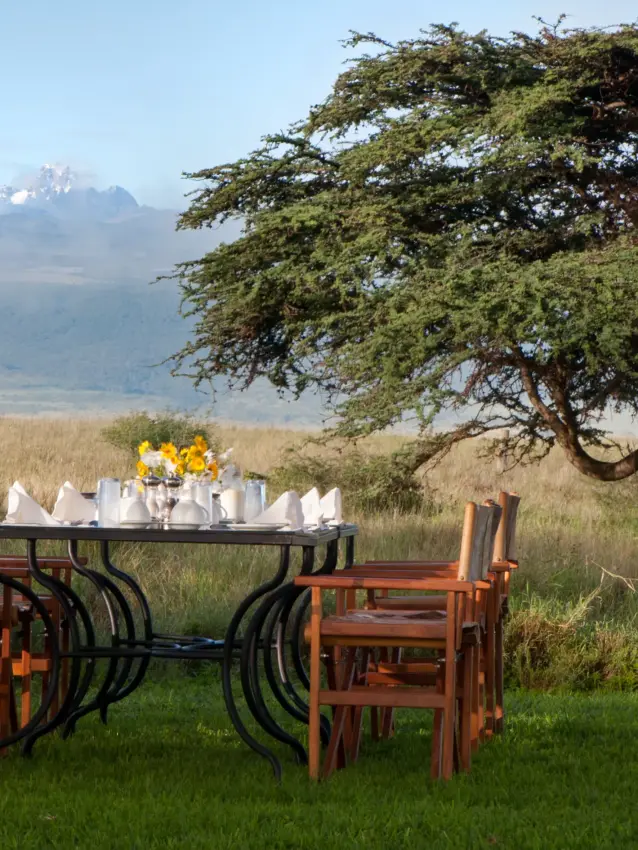 Outdoor dining table set under acacia tree with mountain view, Lewa House, Laikipia Highlands, Kenya