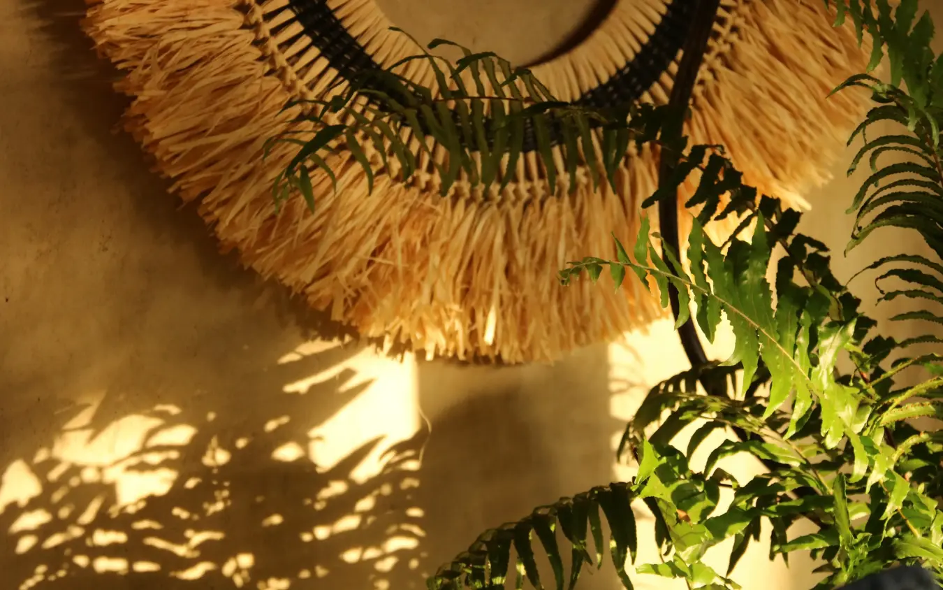 Woven pendant lamp casting shadows on cream wall, Lewa House, Laikipia Highlands, Kenya