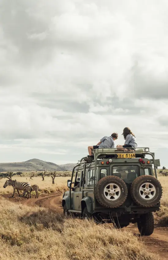 Safari vehicle with guests on game drive observing wildlife, Lewa House, Laikipia Highlands, Kenya