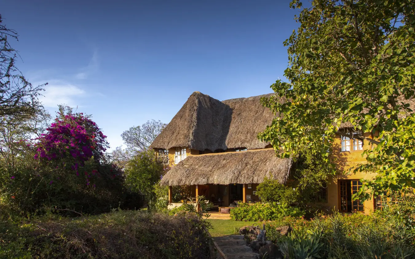Thatched roof lodge building with yellow walls and gardens, Lewa Wilderness, Laikipia Highlands, Kenya