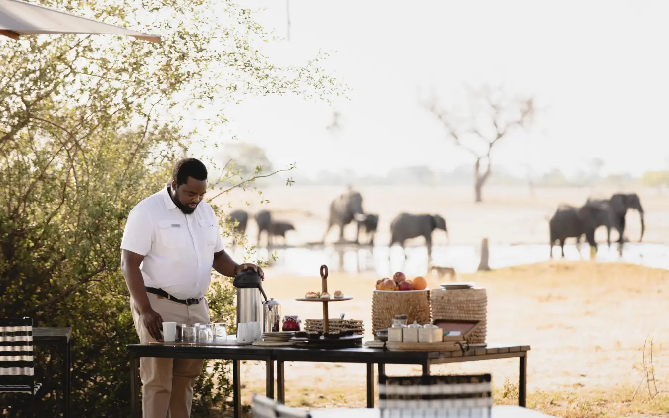 Staff member preparing beverages at outdoor safari dining table, Linkwasha Camp, Hwange National Park, Zimbabwe