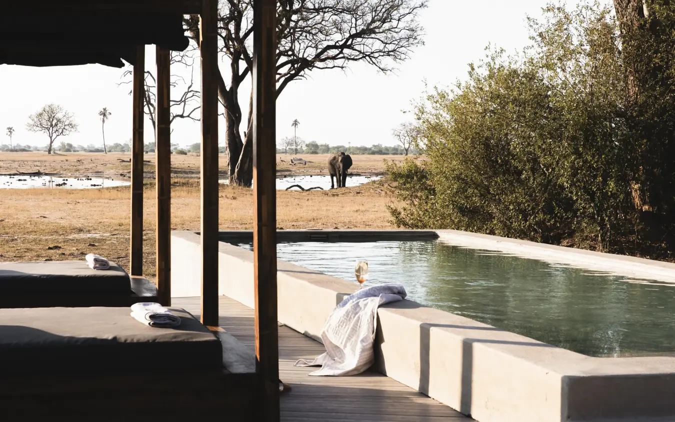 Infinity pool overlooking savanna with elephant in distance, Linkwasha Camp, Hwange National Park, Zimbabwe