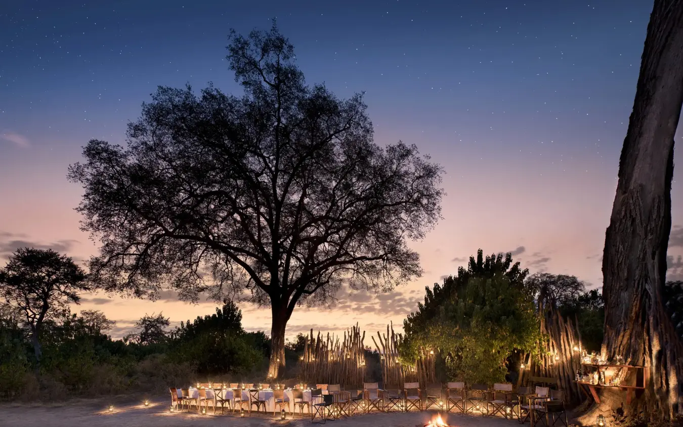 Candlelit dining setup under acacia tree at dusk, Linyanti Bush Camp, Linyanti Wildlife Reserve, Botswana
