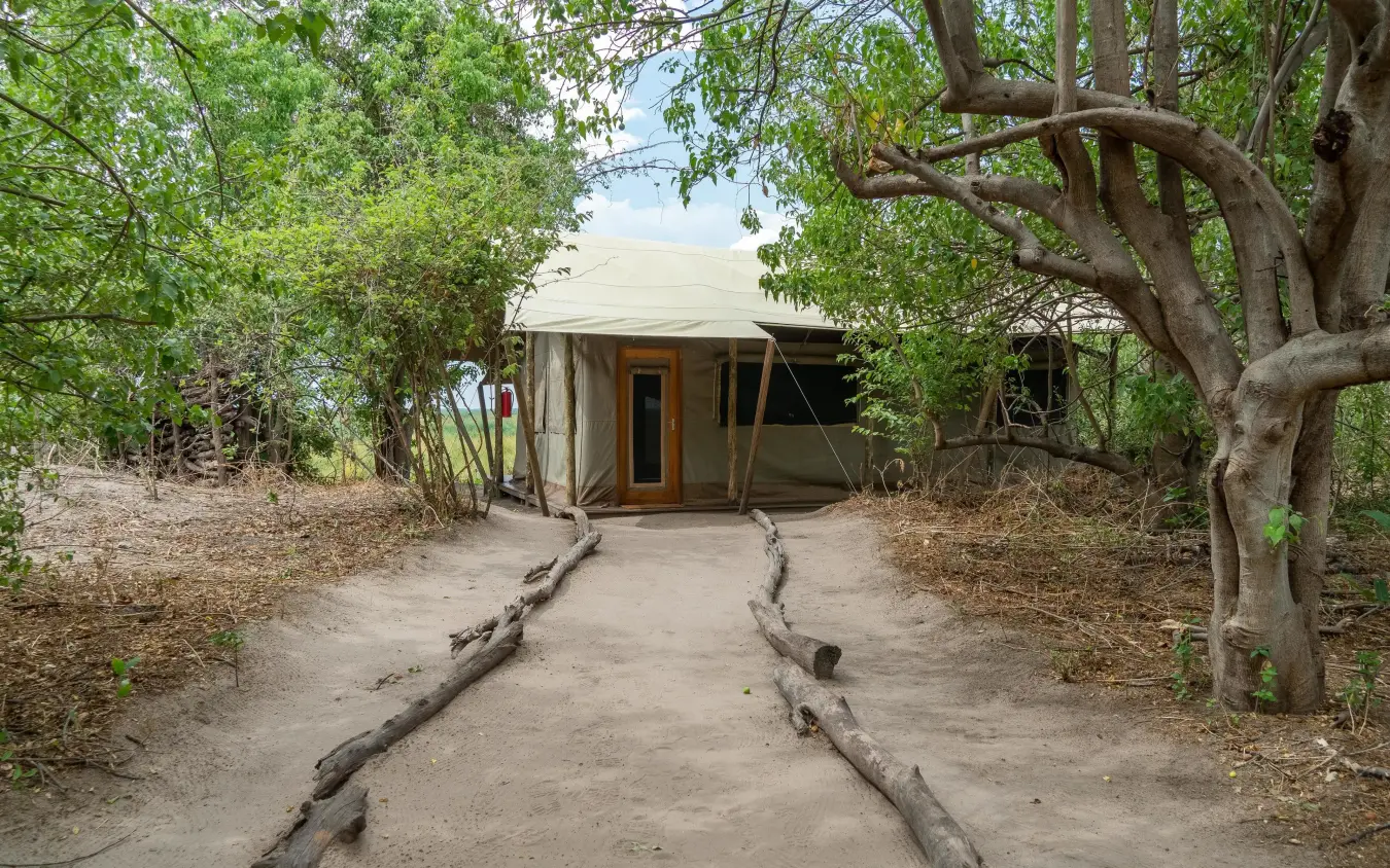 Canvas safari tent nestled among trees on sandy path, Linyanti Bush Camp, Linyanti Wildlife Reserve, Botswana