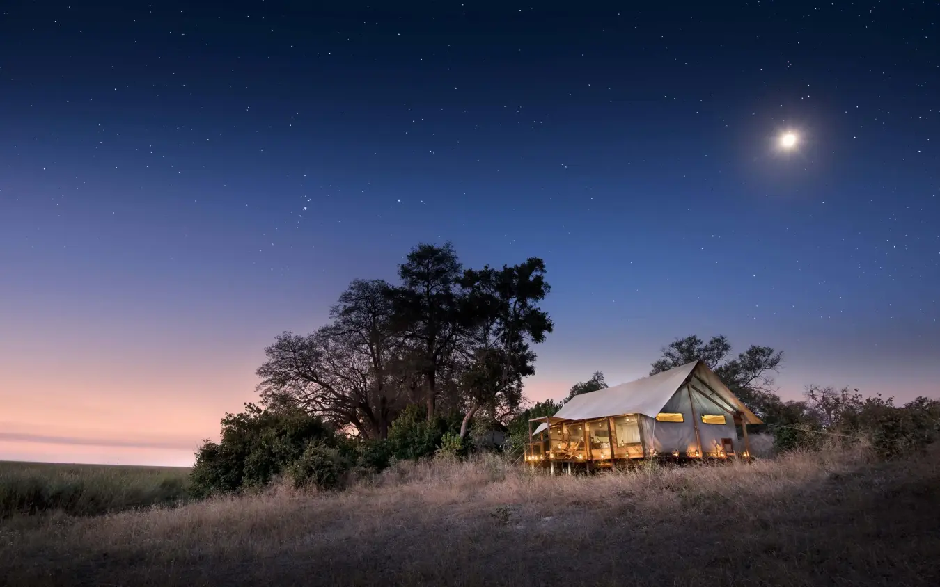Illuminated safari tent at dusk with acacia trees and moon, Linyanti Ebony, Linyanti Wildlife Reserve, Botswana