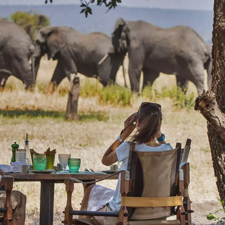 Guests dining on deck overlooking elephants in savanna, Little Chem Chem, Lake Manyara, Tanzania