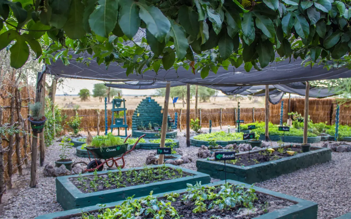 Vegetable garden beds with shade cloth and playground, Little Chem Chem, Lake Manyara, Tanzania