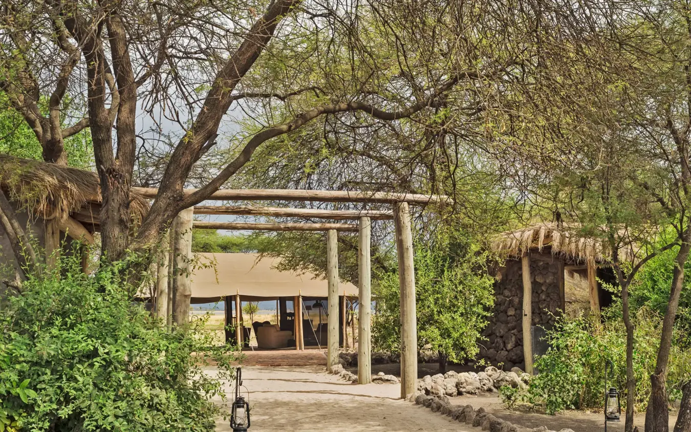 Wooden pergola pathway through trees at safari lodge, Little Chem Chem, Lake Manyara, Tanzania