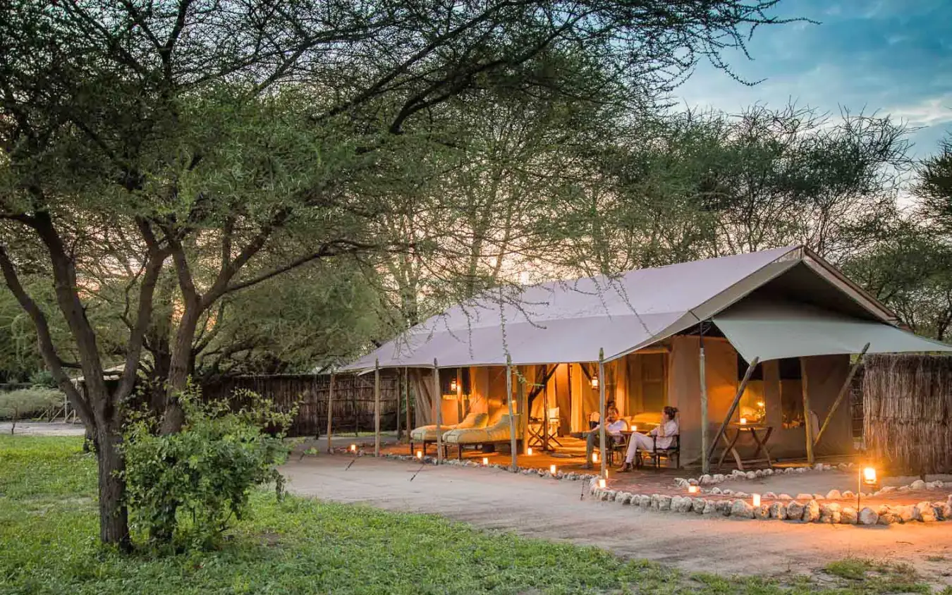 Canvas safari tent illuminated at dusk under acacia trees, Little Chem Chem, Lake Manyara, Tanzania