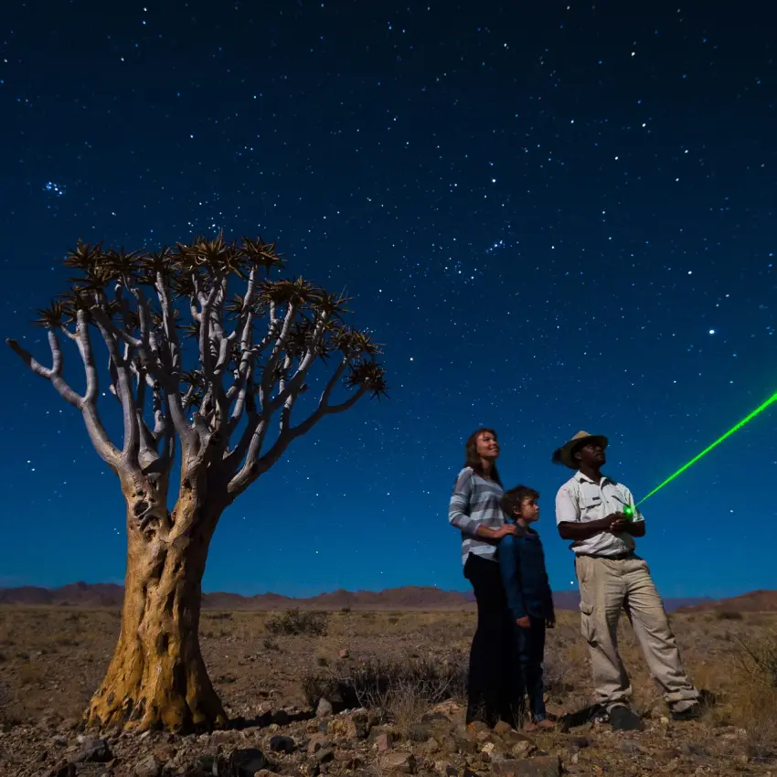 Guests with laser pointer at night under stars near quiver tree, Little Kulala, Sossusvlei, Namibia