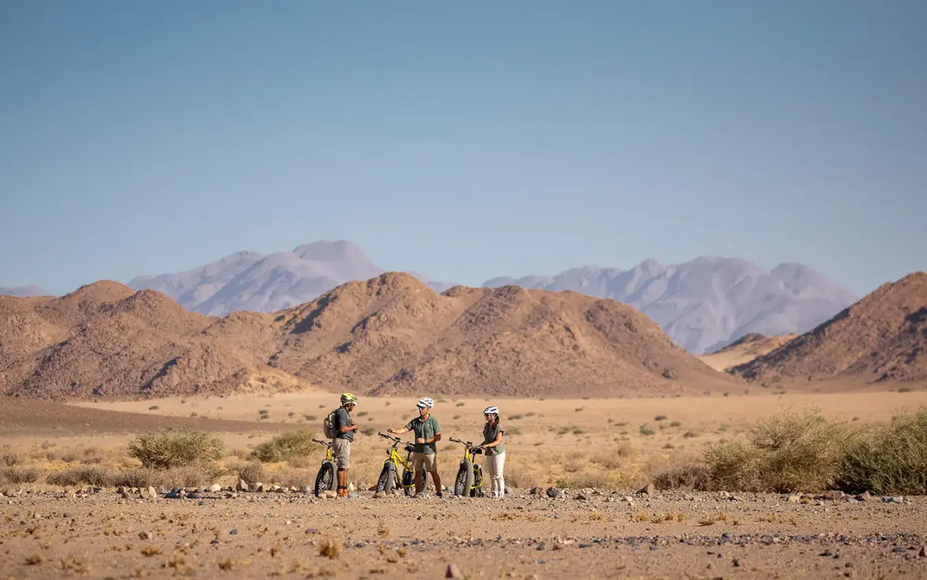 Mountain bikers with guides stopping in desert landscape with snow-capped peaks, Little Kulala, Sossusvlei, Namibia