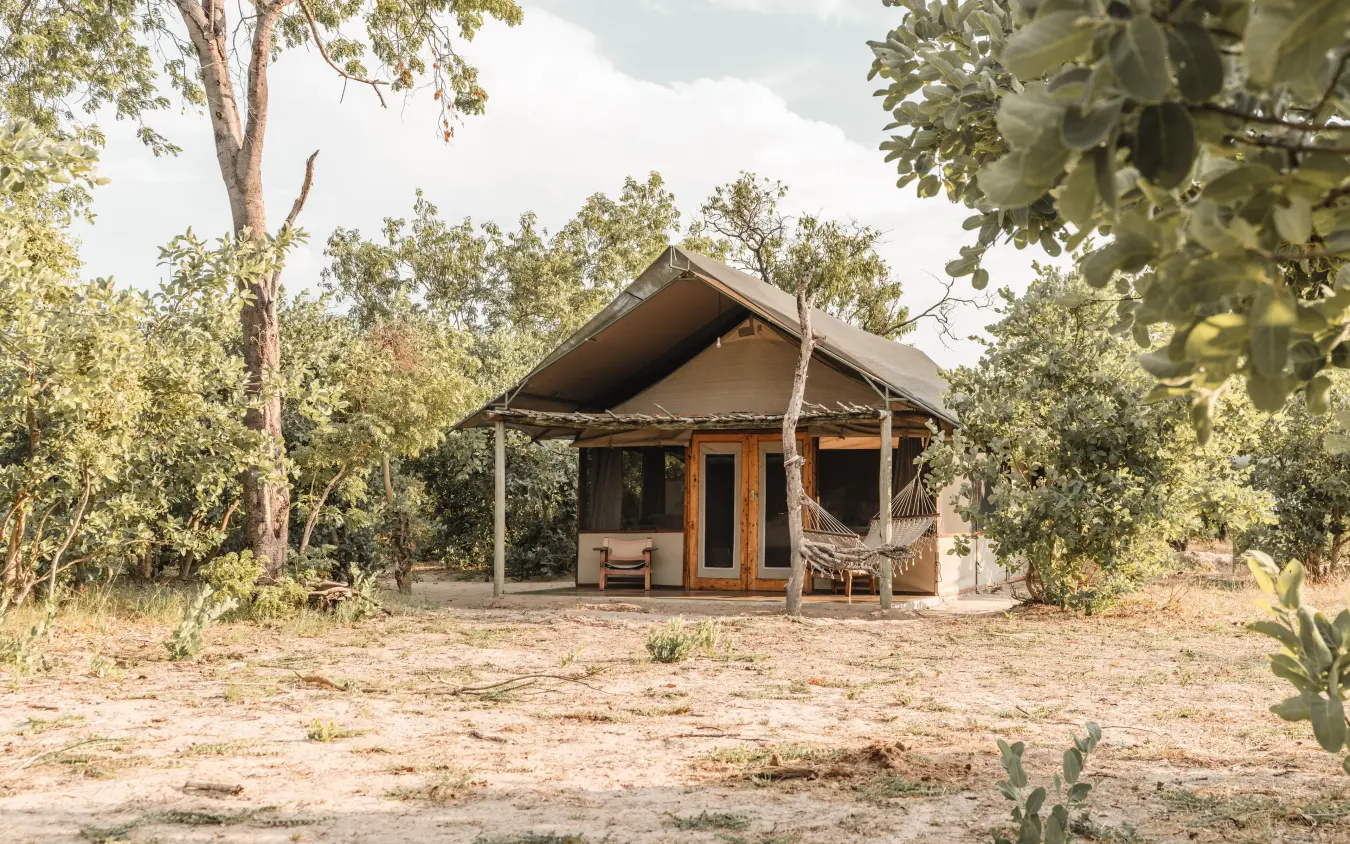 Luxury safari tent with wooden veranda surrounded by bushland trees, Little Makalolo, Hwange National Park, Zimbabwe