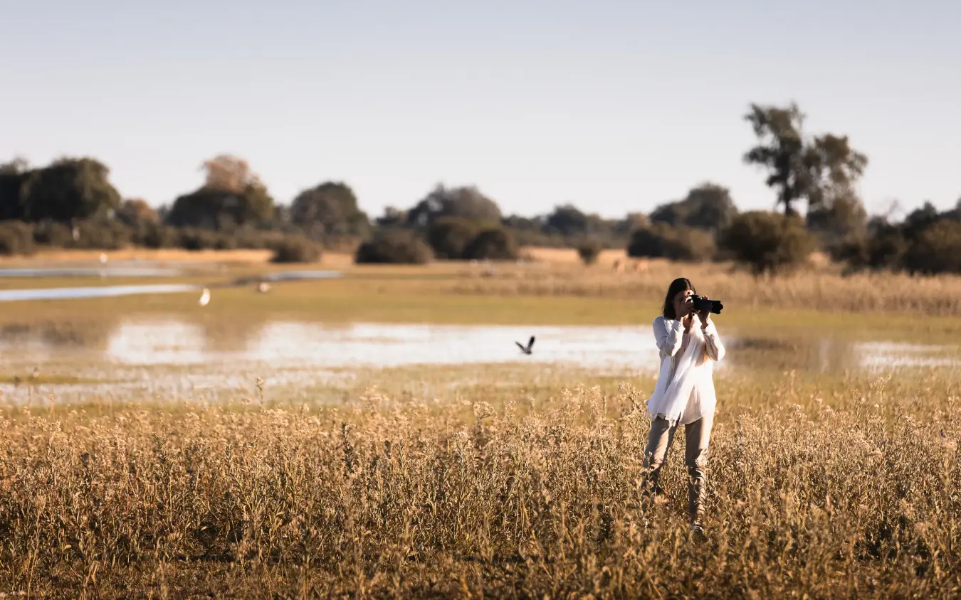 Photographer with telephoto lens in wetland grassland with waterfowl, Little Vumbura, The Okavango Delta, Botswana