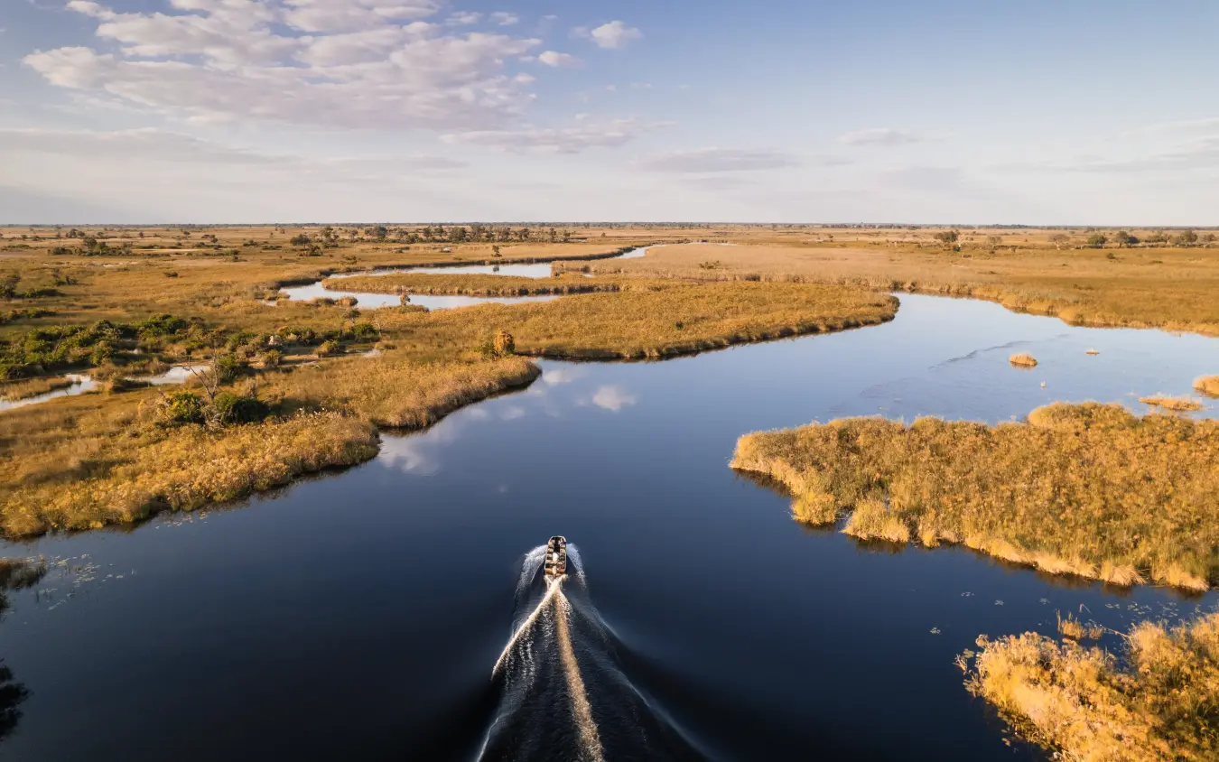 Airboat traveling through wetland waterways lined with golden marsh vegetation, Little Vumbura, The Okavango Delta, Botswana