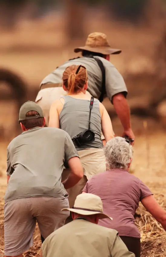 Guides leading guests on walking safari through dry terrain, Little Vundu, Mana Pools, Zimbabwe