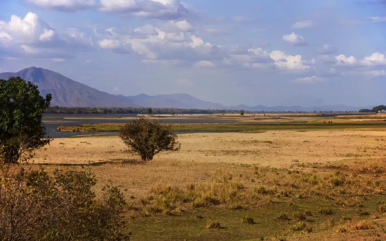 Wide valley landscape with distant mountain and scattered trees, Little Vundu, Mana Pools, Zimbabwe