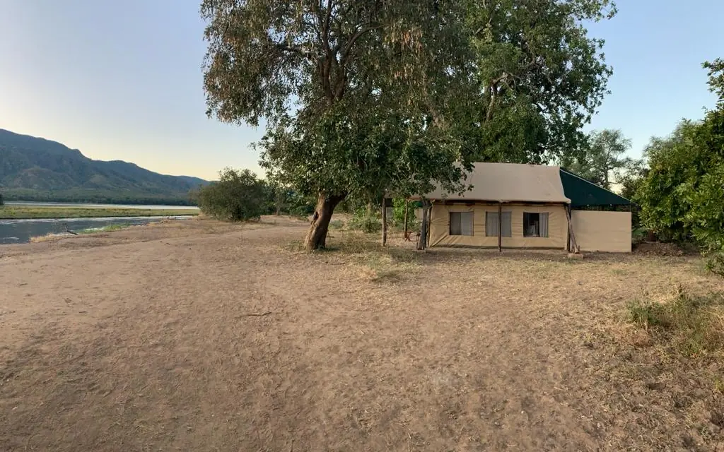 Canvas safari tent under large tree by riverbank, Little Vundu, Mana Pools, Zimbabwe
