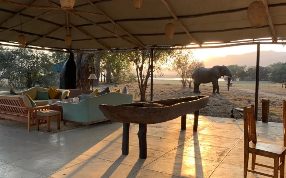 Open-air lounge pavilion with elephant viewing at sunset, Little Vundu, Mana Pools, Zimbabwe
