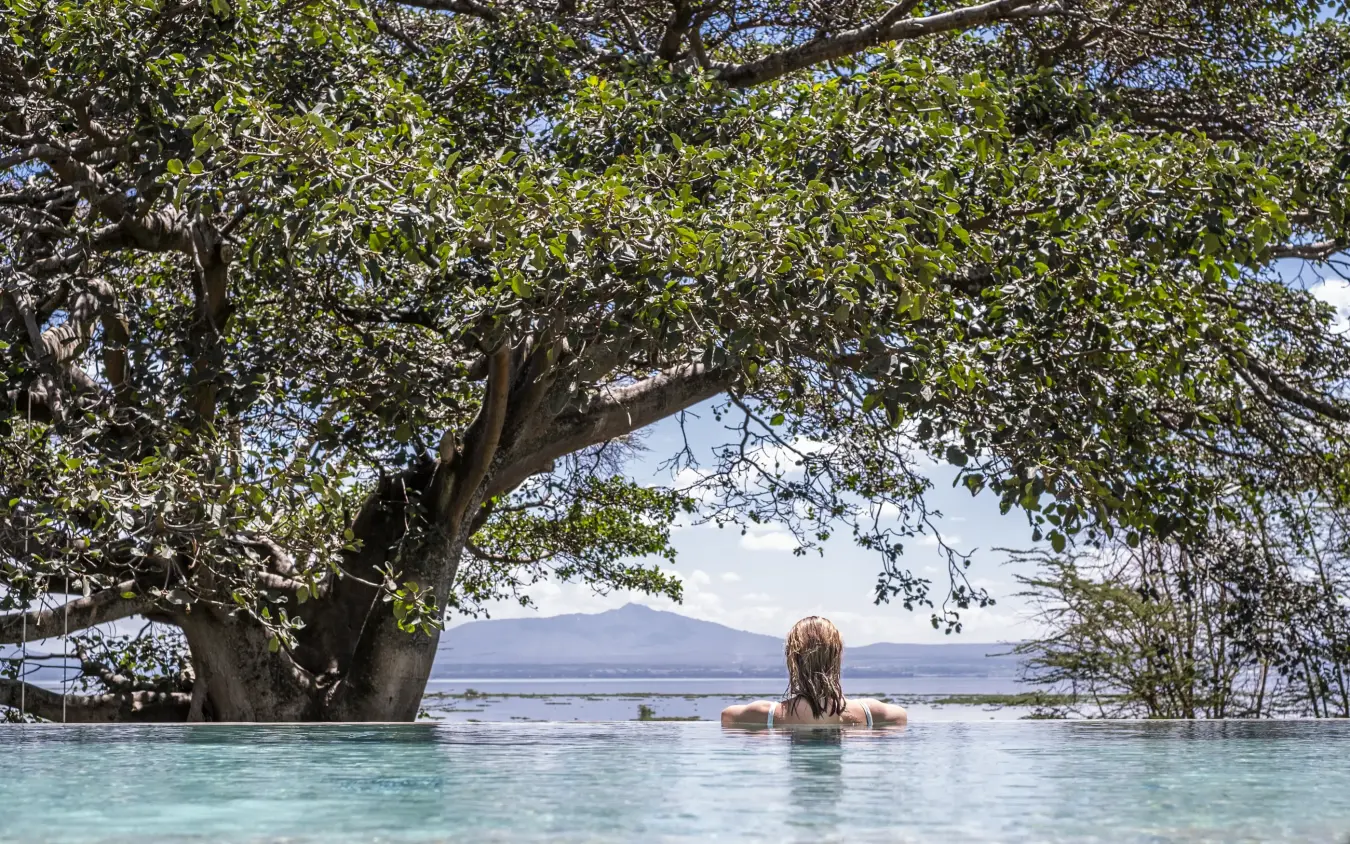 Woman bathing in turquoise lagoon beneath overhanging mangrove tree, Loldia House, Rift Valley Lakes, Kenya
