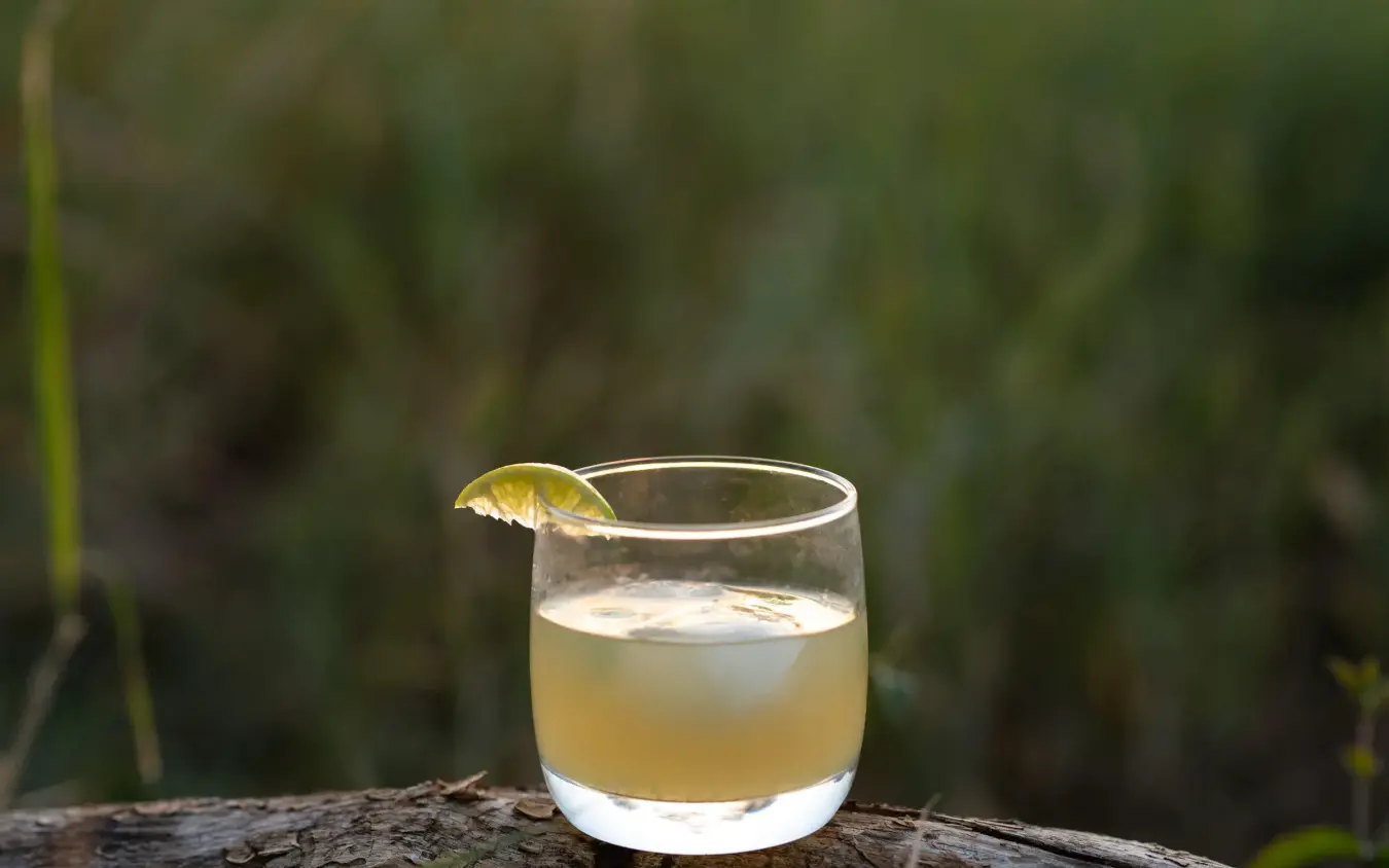 Glass of pale cocktail with lemon slice on log, Lolkisale Camp, Tarangire National Park, Tanzania