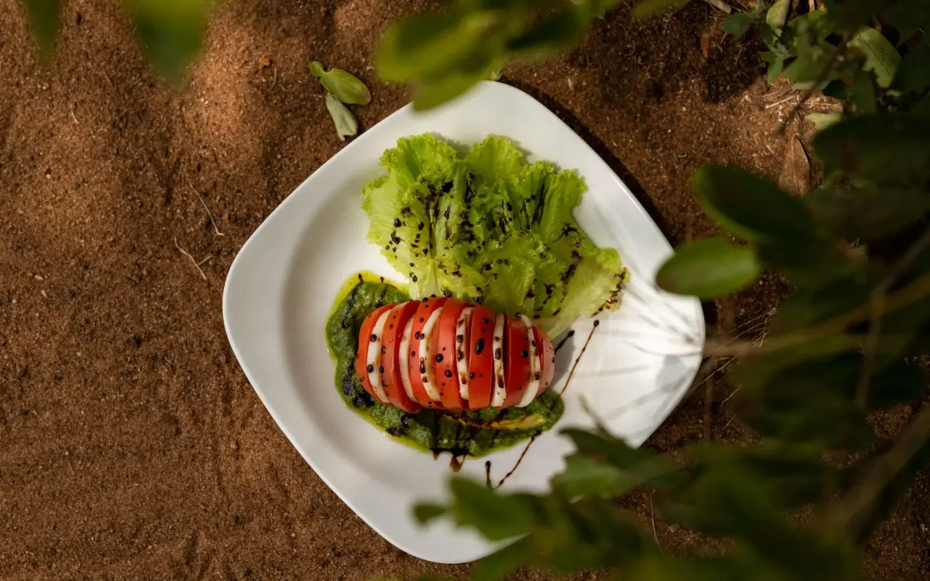 Plated salad with tomato, mozzarella, and greens, Lolkisale Camp, Tarangire National Park, Tanzania